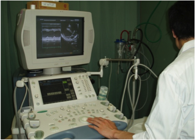 心臓超音波検査機器.png