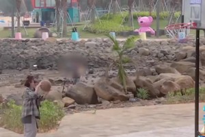 秦岚会打篮球？投篮这么准嘛